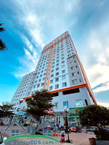 Cần cho thuê căn hộ Bông Sao Quận diện tích 60m2, 2pn, 1wc